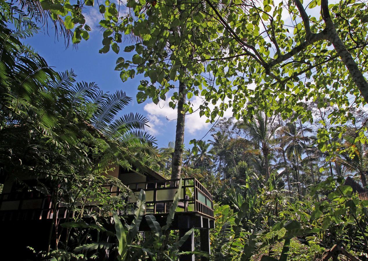 Alassari Plantation Selemadeg Kültér fotó