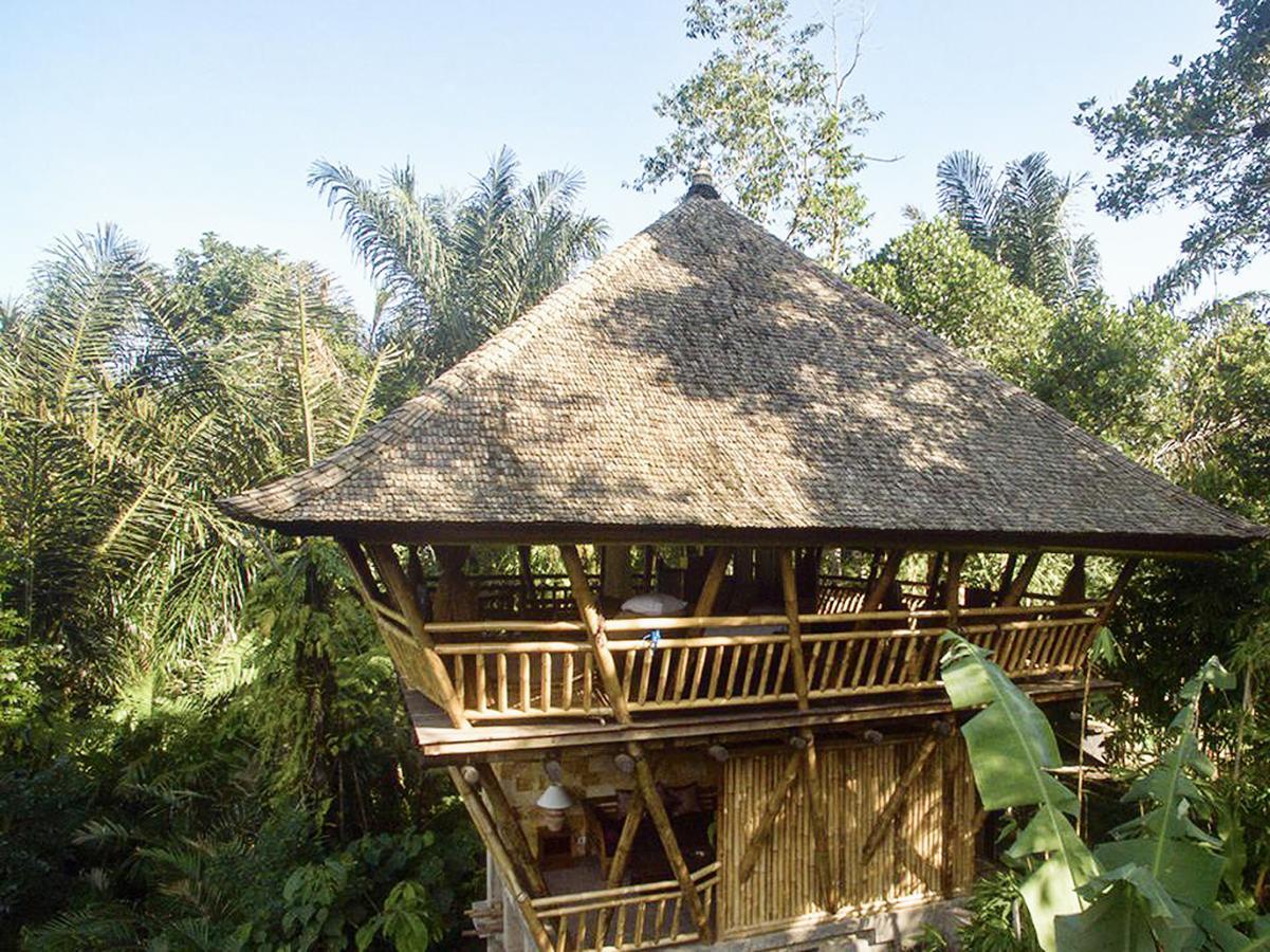 Alassari Plantation Selemadeg Kültér fotó